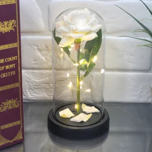 Роза в стъкленица