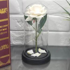 Роза в стъкленица