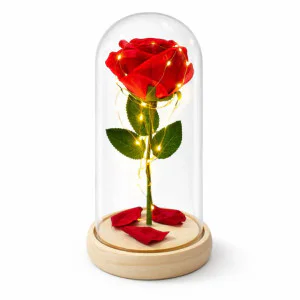 Вечна червена роза в стъклен купол с LED светлини 20 см