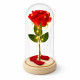 Романтична вечна роза в стъклен купол с LED светлини