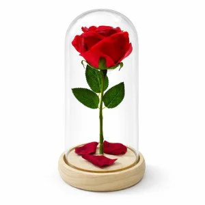 Вечна червена роза в стъклен купол с LED светлини 20 см