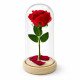 Романтична вечна роза в стъклен купол с LED светлини