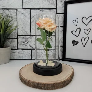 Светеща роза в стъкленица