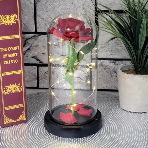 Роза "Belle" в Стъкленица