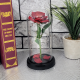 Вечна роза в стъкленица на супер цена от Neostyle.bg