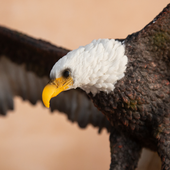 Декоративна статуетка - Орел в полет над скали на супер цена от Neostyle.bg