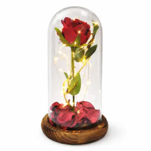 Вечна роза в стъклен купол с LED осветление