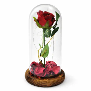 Вечна роза в стъклен купол с LED осветление