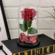 Вечнa розa в стъкленица на супер цена от Neostyle.bg