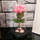 Вечна роза в стъкленица на супер цена от Neostyle.bg